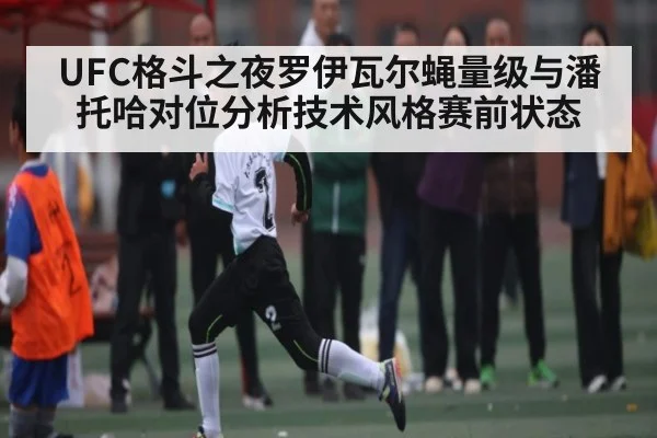 UFC格斗之夜罗伊瓦尔蝇量级与潘托哈对位分析技术风格赛前状态