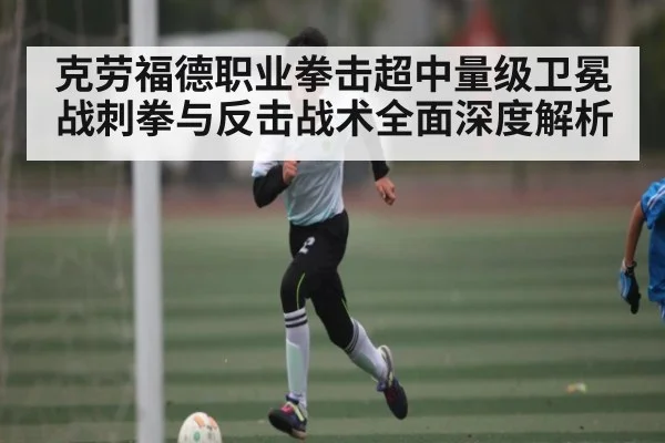 克劳福德职业拳击超中量级卫冕战刺拳与反击战术全面深度解析